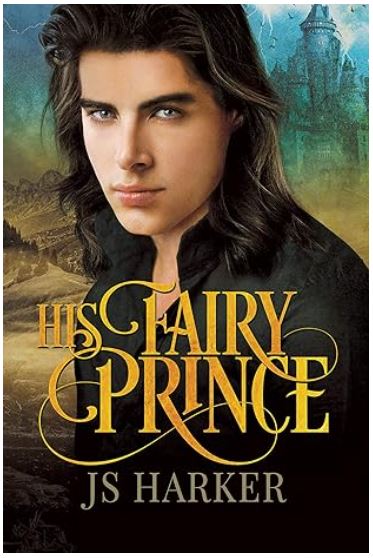His fairy prince book cover